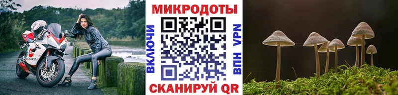 Псилоцибиновые грибы Psilocybe  Семилуки 